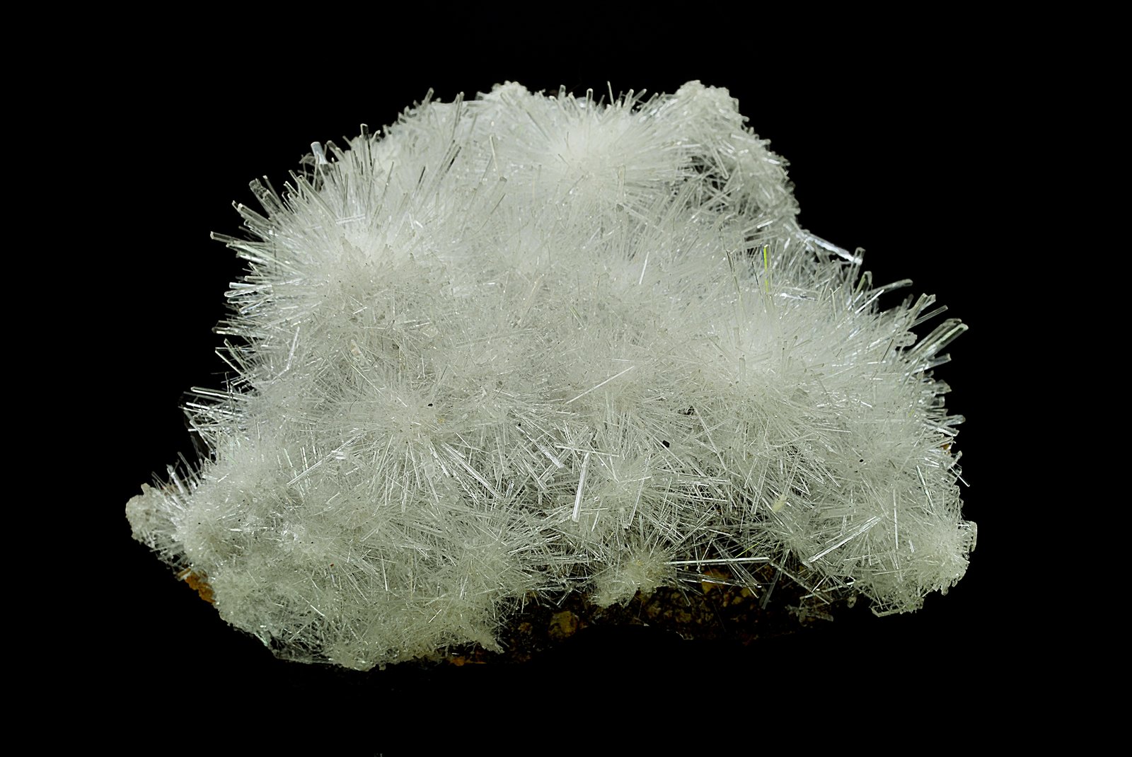 Yeso
10 x 7 cm
(Autor: Antonio Carmona)