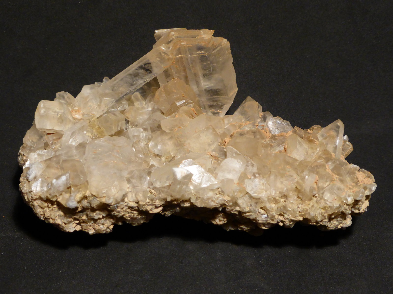 Yeso
13x7 cm
(Autor: Ander Ispizua Juan)
