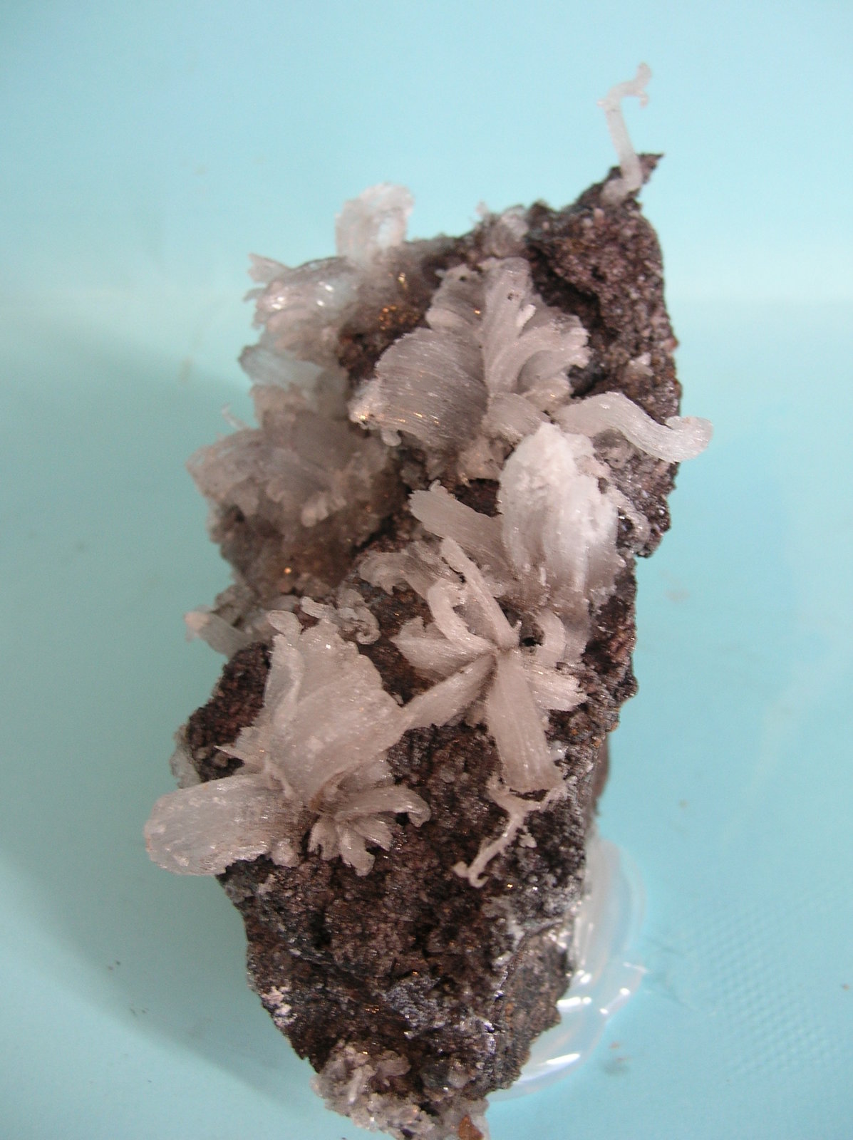 Yeso (variedad sericolita)
10 x 8 cm
(Autor: Pedro Conesa)