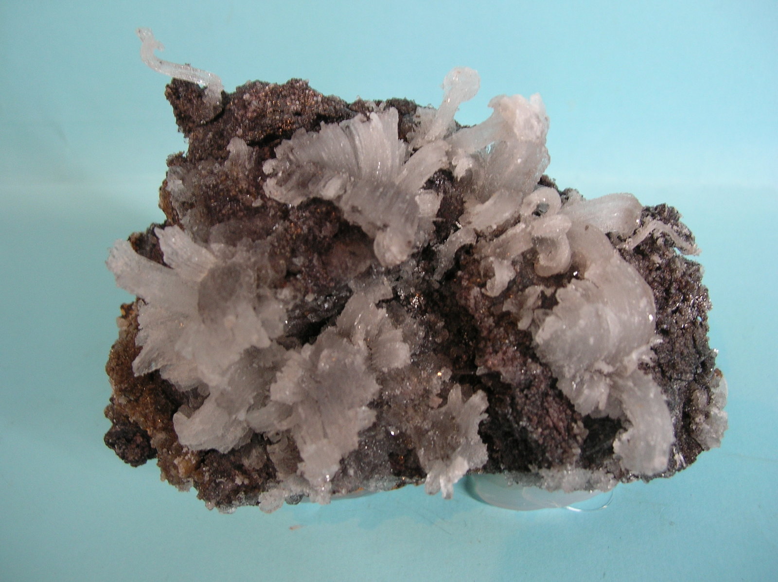 Yeso (variedad sericolita)
10 x 8 cm
(Autor: Pedro Conesa)