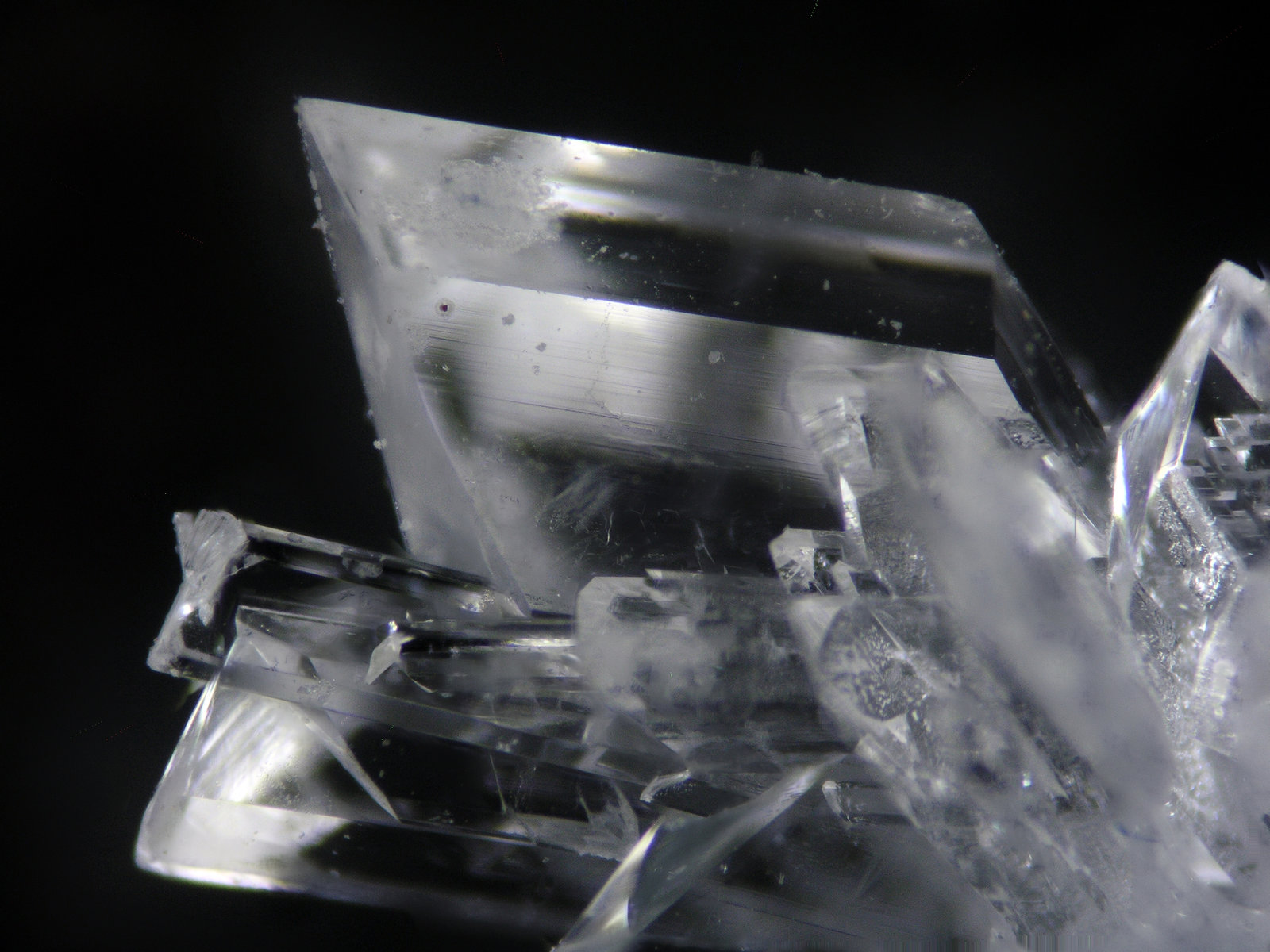 Yeso
FOV 0.3 cm
(Autor: Cesar M. Salvan)