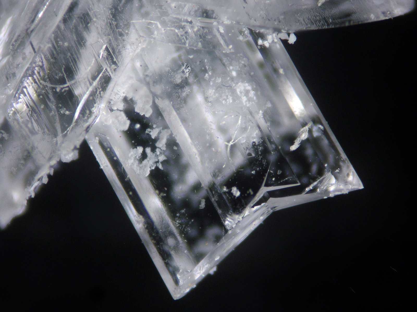 Yeso
FOV 0.25 cm
(Autor: Cesar M. Salvan)