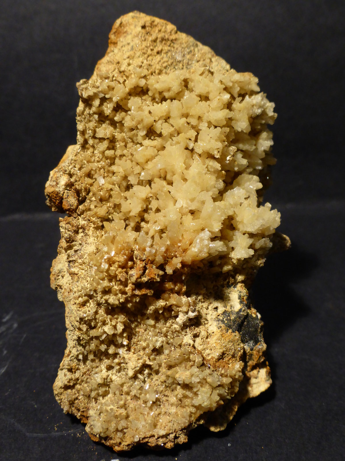 Yeso
7x4 cm
(Autor: Ander Ispizua Juan)
