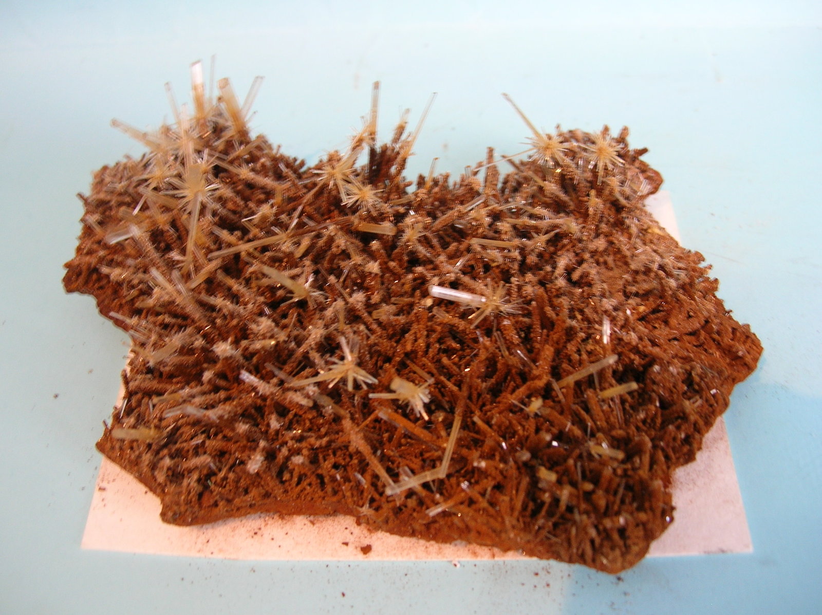 Yeso
10,5 x 9 cm
(Autor: Pedro Conesa)