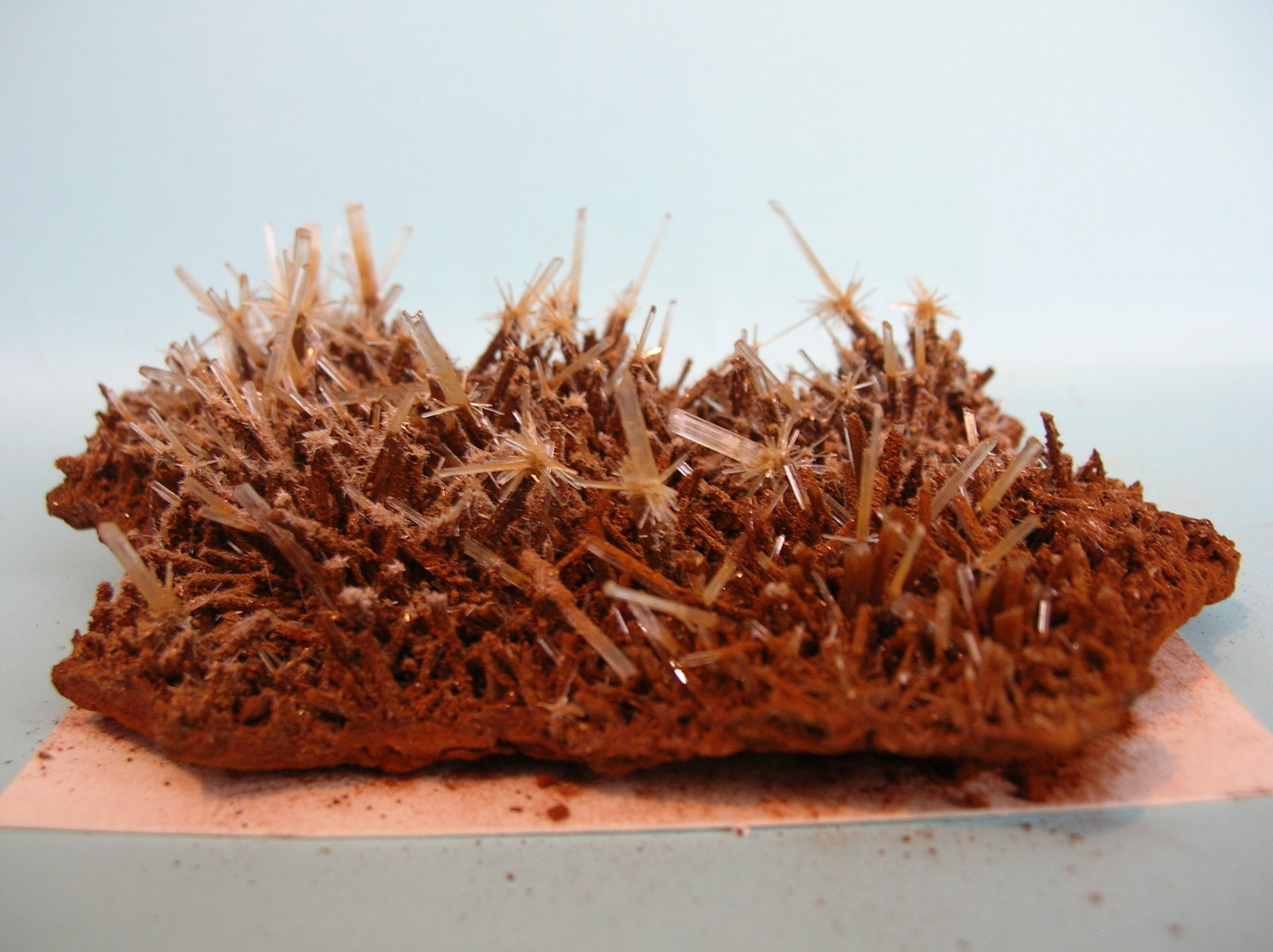 Yeso
10,5 x 9 cm
(Autor: Pedro Conesa)