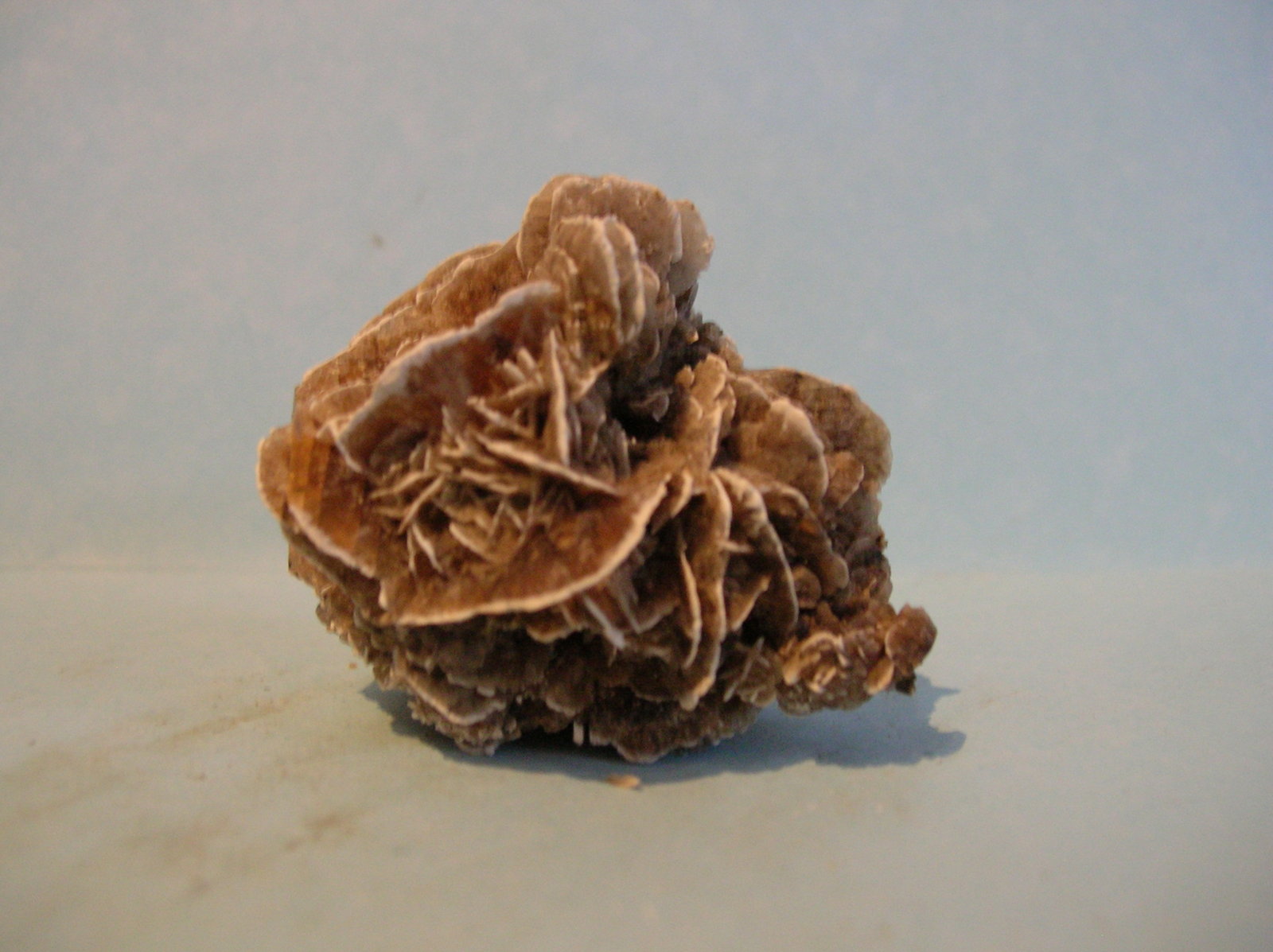 Yeso
4,5 x 4 cm
(Autor: Pedro Conesa)