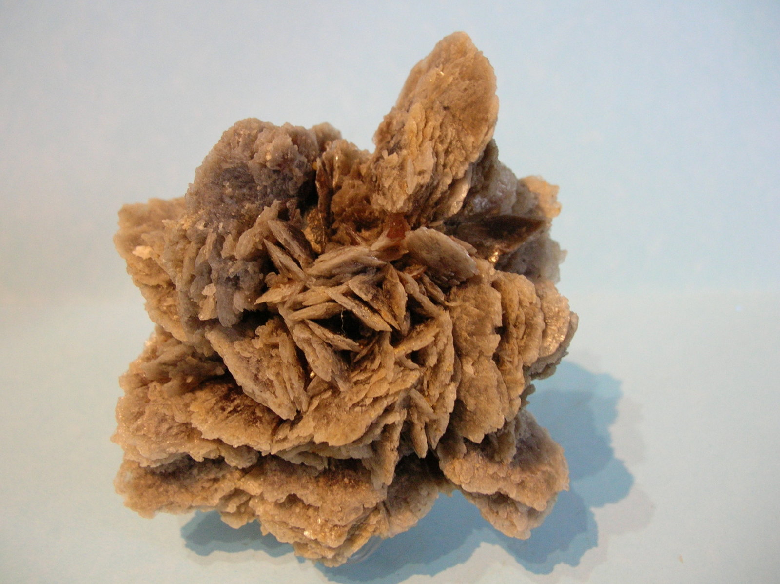 Yeso
9 x 8 cm
(Autor: Pedro Conesa)