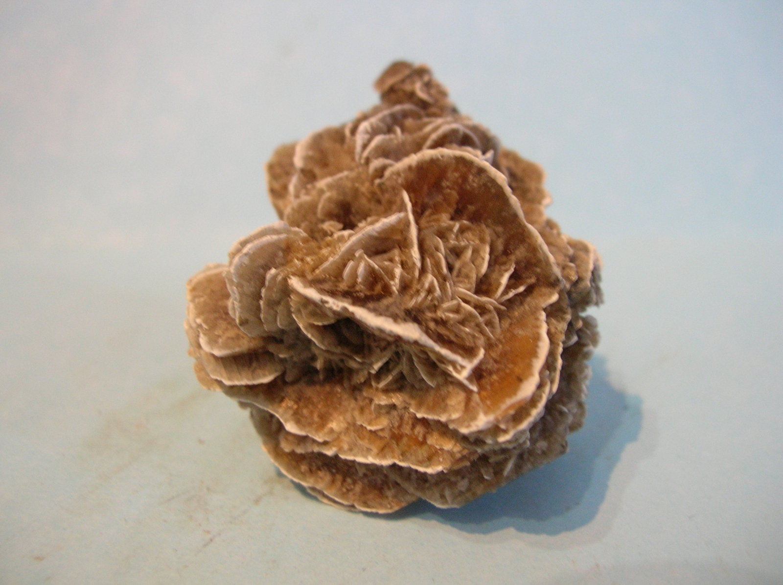 Yeso
4,5 x 4 cm
(Autor: Pedro Conesa)