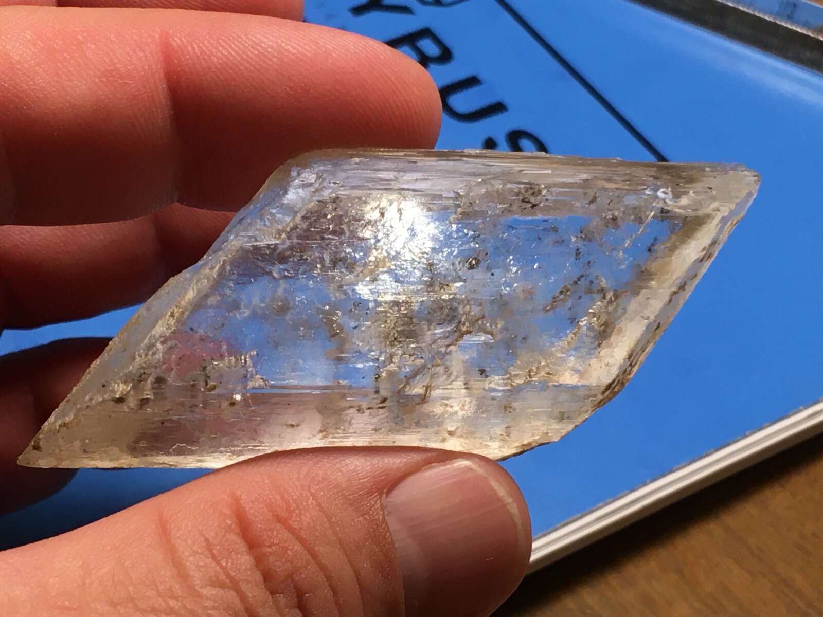 Yeso
Afloramientos de carbón, Utrillas, Comarca Cuencas Mineras, Teruel, Aragón, España
9 x 3.5 cm
(Autor: Matias Raja)