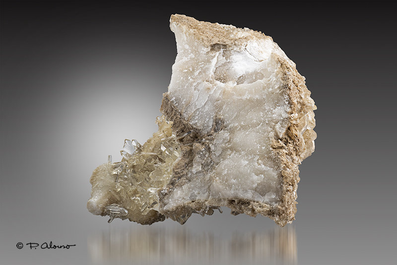 Yeso
11cm x 10cm x 5cm
(Autor: Pere Alonso)