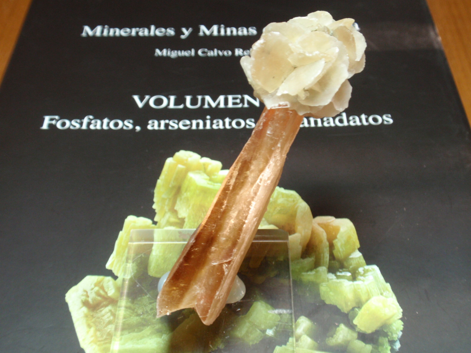Yeso
25x80 mm
(Autor: Ignacio)