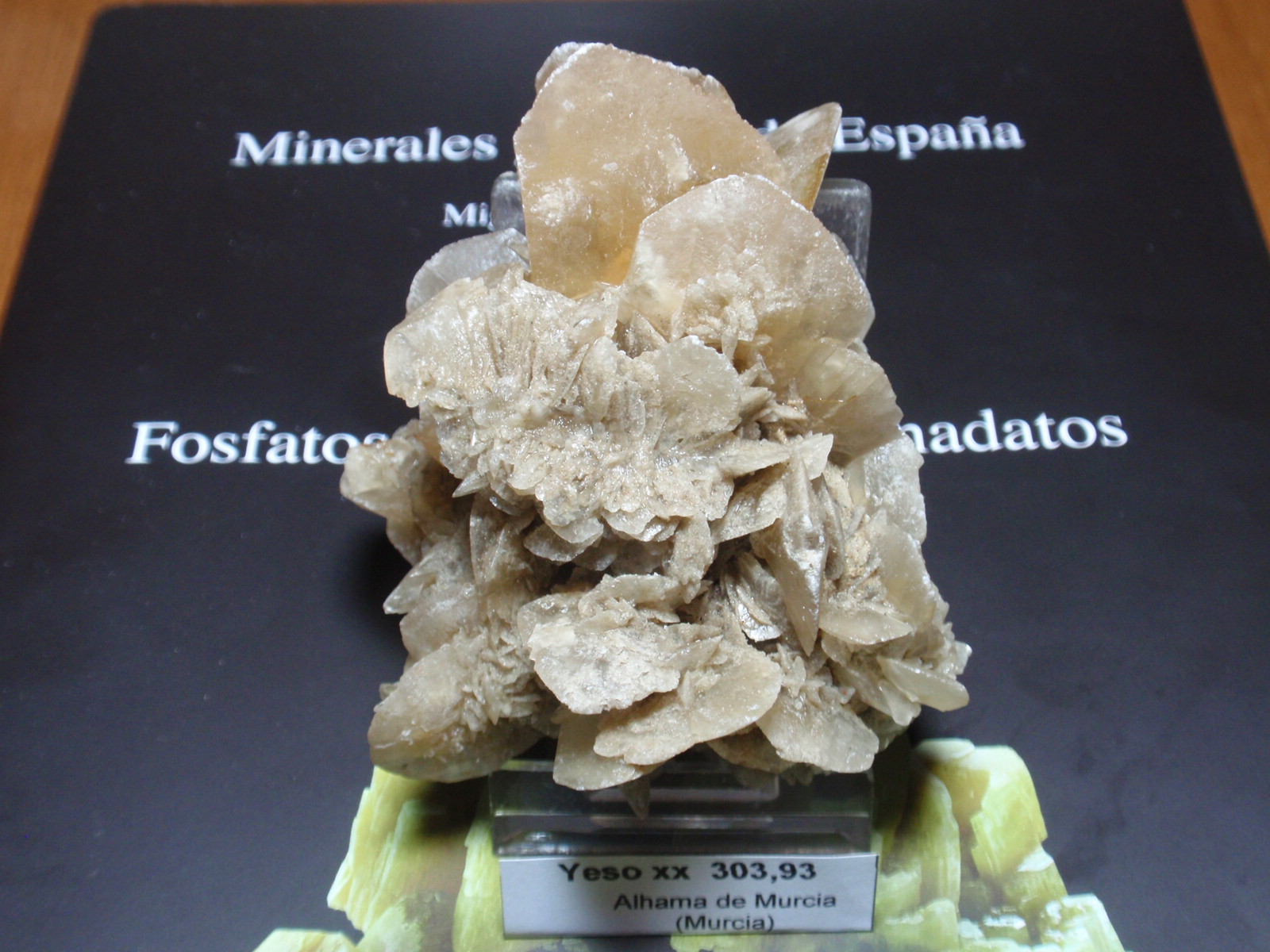 Yeso
60x70 mm
(Autor: Ignacio)