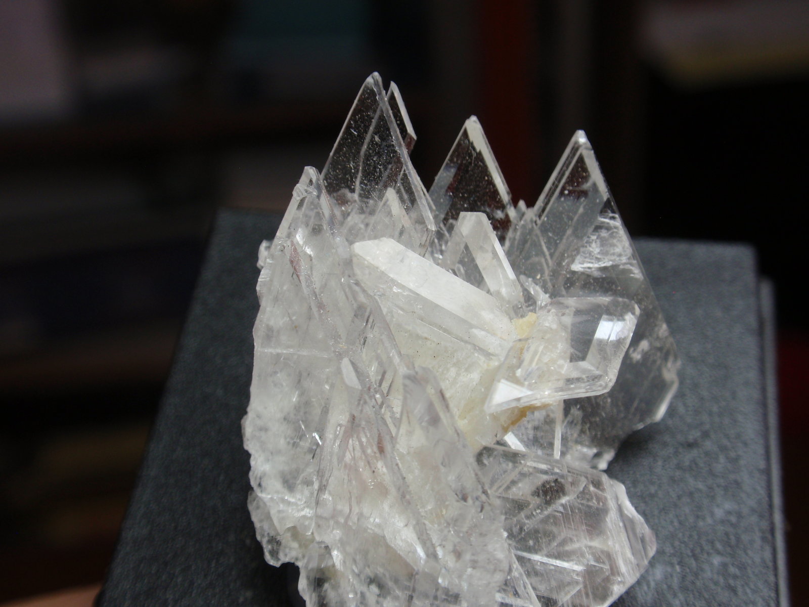 Yeso
25x25 mm
(Autor: Ignacio)
