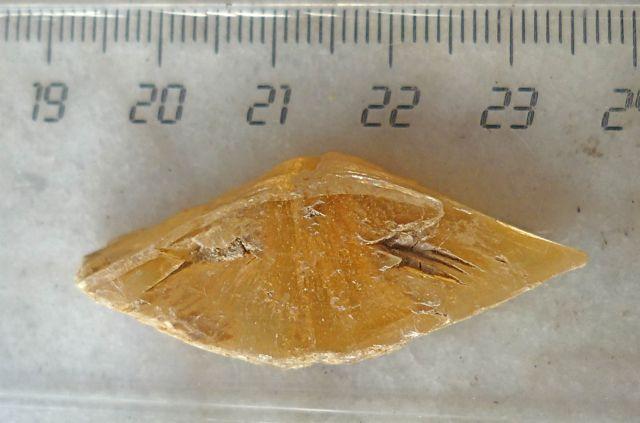Yeso
4 cm.
(Autor: María Jesús M.)