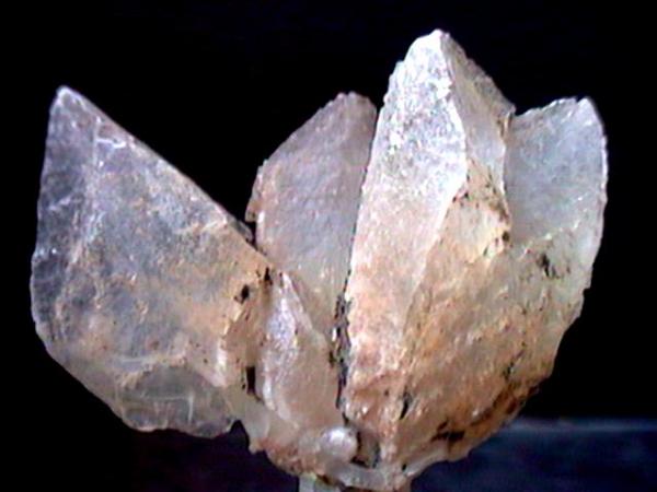 Yeso
77 x 65 x 37 mm.
(Autor: José Luis Zamora)
