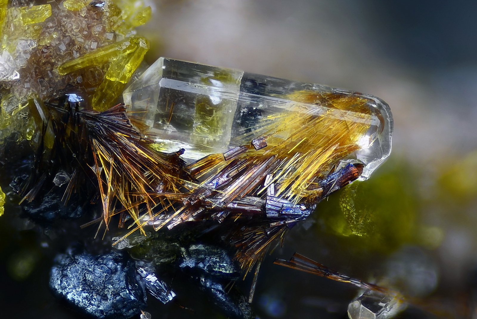 Yuanfuliita, Fluorapatito
Campo de visión 1,8 mm
(Autor: Juan Miguel)