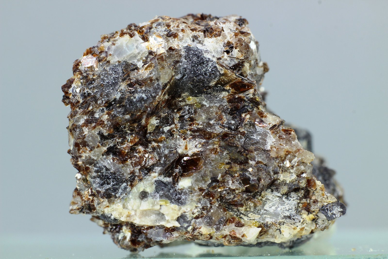 Safirina
31x26 mm
(Autor: Juan Espino)