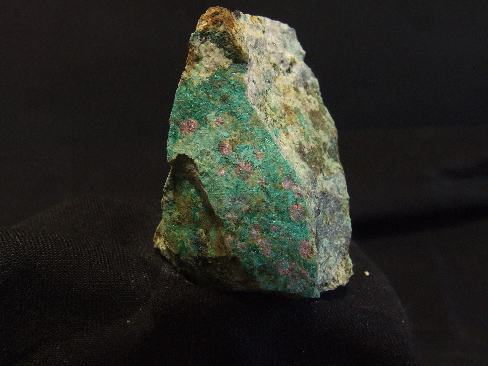 Eritrina
60x50x35mm
(Autor: joaquin gar)