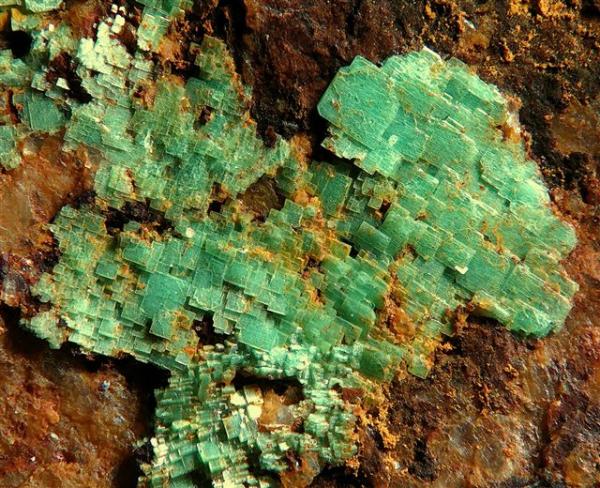 Metazeunerita.
Grupo de cristales de 1,5 cm.
(Autor: Adrian Pesudo)