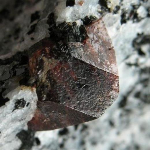 Zircón
7 x 3,5 x 2,5 cm
(Autor: Antonio Alcaide)