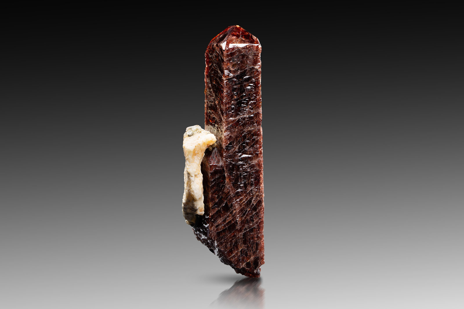 Zircón [Zircon]
4.5 x 4.5 x 14 cm / cristal principal: 13.7 cm
(Autor: Museo MIM)