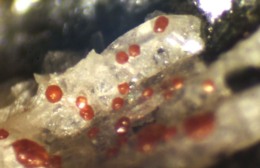 Zirconolita
< 1 mm
(Autor: José Luis Zamora)
