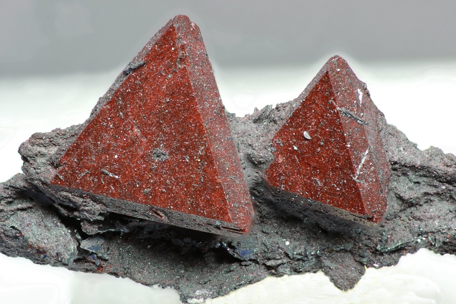 Zunyita
30x20 mm
(Autor: Ramon A  Lopez Garcia)