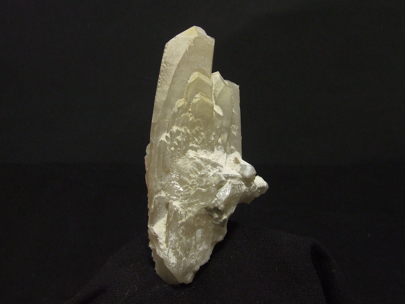 Celestina
85x45x35mm
(Autor: joaquin gar)